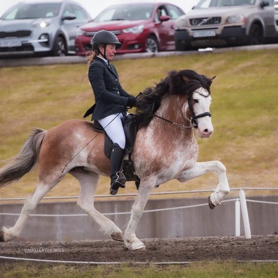 Ellert Frá Baldurshaga