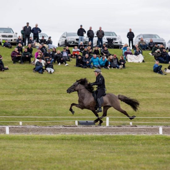 Álfaklettur frá Syðri-Gegnishólum pace
